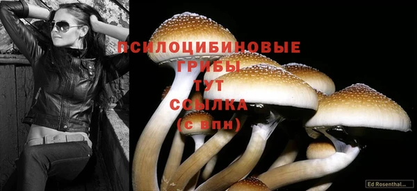 кокаин перу Баксан